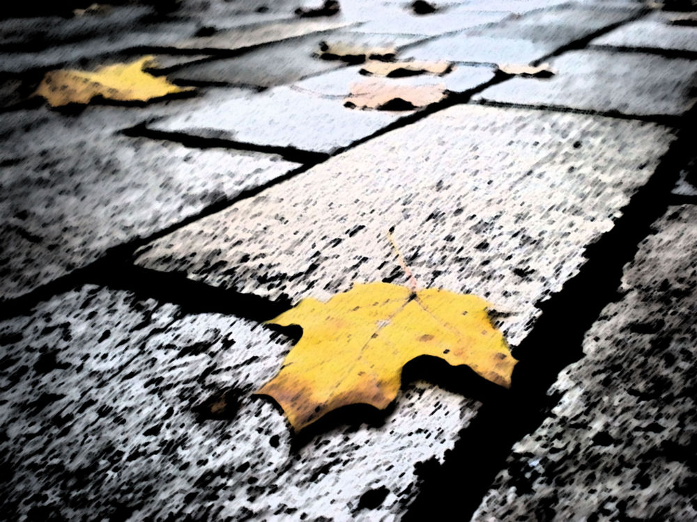 Обои для рабочего стола Желтые листья лежат на тротуаре