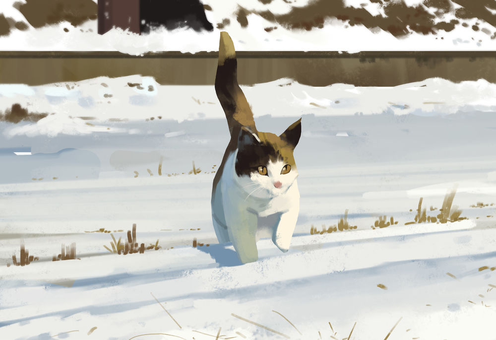 Обои для рабочего стола Кошка идет по снегу, by Shin jong hun