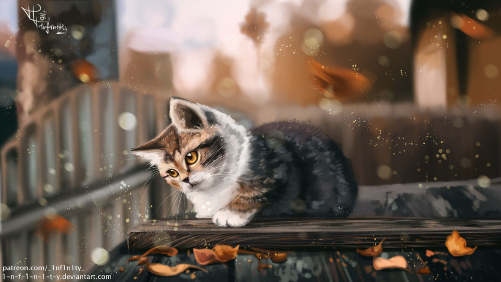Обои для рабочего стола Кошка смотрит на осенние листья, by 1-N-F-1-N-1-T-Y -Polina Chelyadinova
