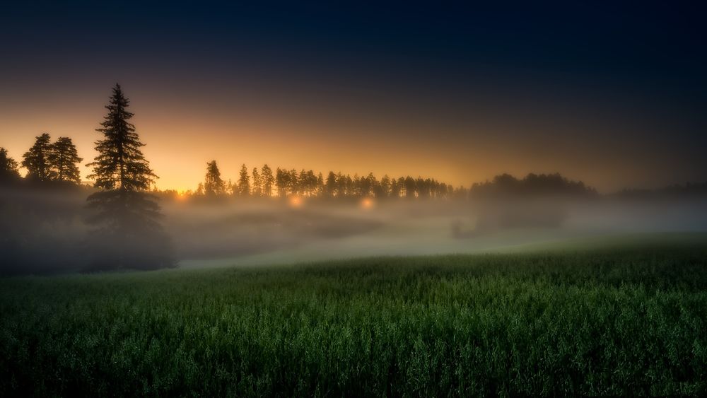 Обои для рабочего стола Пейзаж природы, окутанный туманом, возникшим на поле после захода солнца, Finland / Финляндия, фотограф Juuso Oikarinen