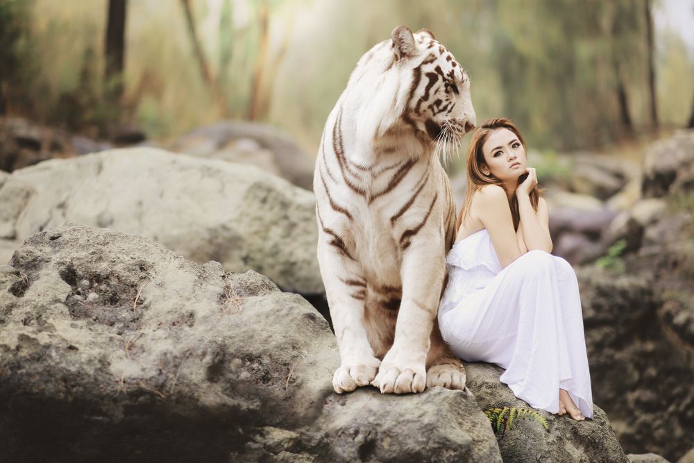 Обои для рабочего стола Девушка в платье сидит рядом с белым бенгальским тигром на фоне природы, by SarahRichterArt