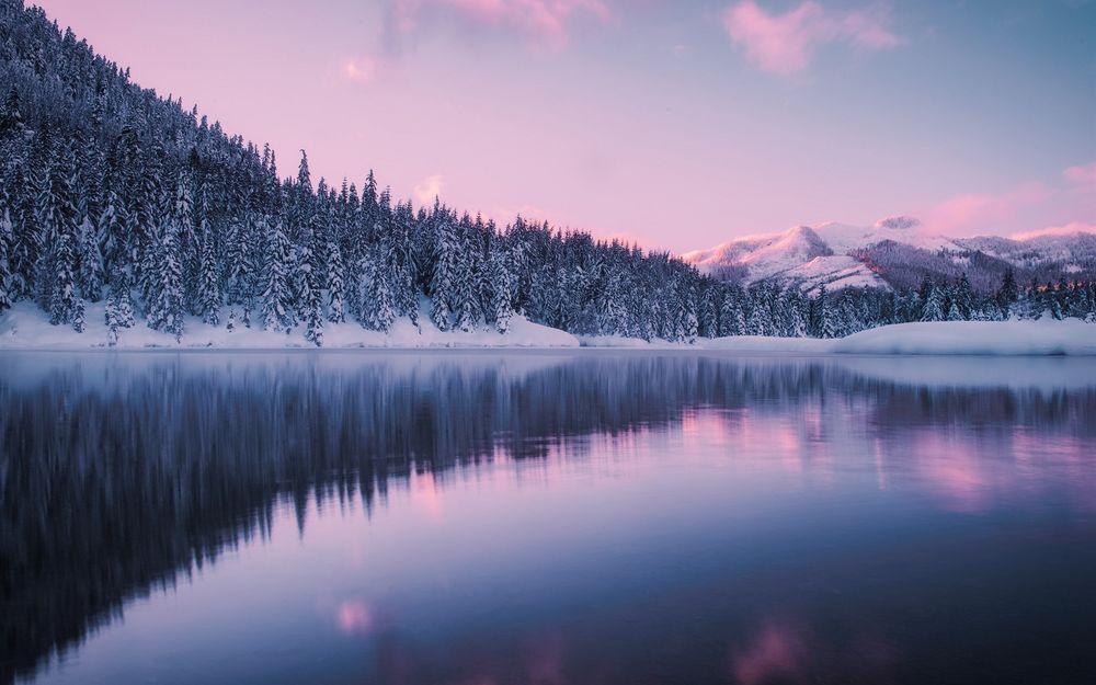 Обои для рабочего стола Пруд Золотой Ручей / Gold Creek Pond зимним утром на фоне гор и заснеженного хвойного леса, штат Вашингтон, США / Washington, USA