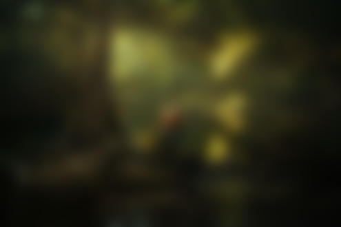 Обои на рабочий стол Девушка с оголенной спиной сидит у озера, фотограф TJ Drysdale