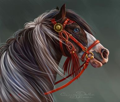 Обои на рабочий стол Horse / Лошадь в сбруе на сером фоне, by Елена Саморядова