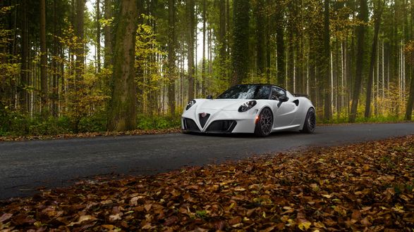 Обои на рабочий стол Автомобиль Alfa-romeo на лесной дороге