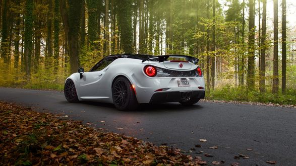 Обои на рабочий стол Автомобиль Alfa-romeo на лесной дороге вид сзади