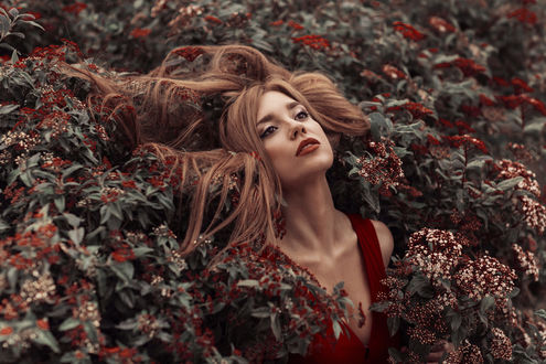 Обои на рабочий стол Девушка стоит в цветущем кусте, by Mara Saiz Photo