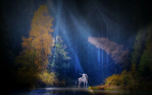 Обои на рабочий стол Единорог на берегу озера в осеннем лесу, by Anja Osenberg
