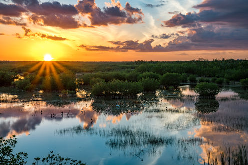 Обои на рабочий стол Закат солнца в Эверглейдс, Флорида / Everglades, Florida, фотограф Charles Patrick Ewing
