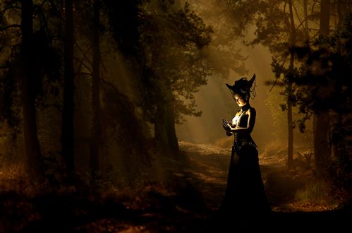 Обои на рабочий стол Колдунья стоит в ночном лесу, by Anja Osenberg