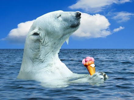Обои на рабочий стол Белый медведь в океане с рожком мороженого в лапах, на фоне облачного неба, by Gerhard Gellinger