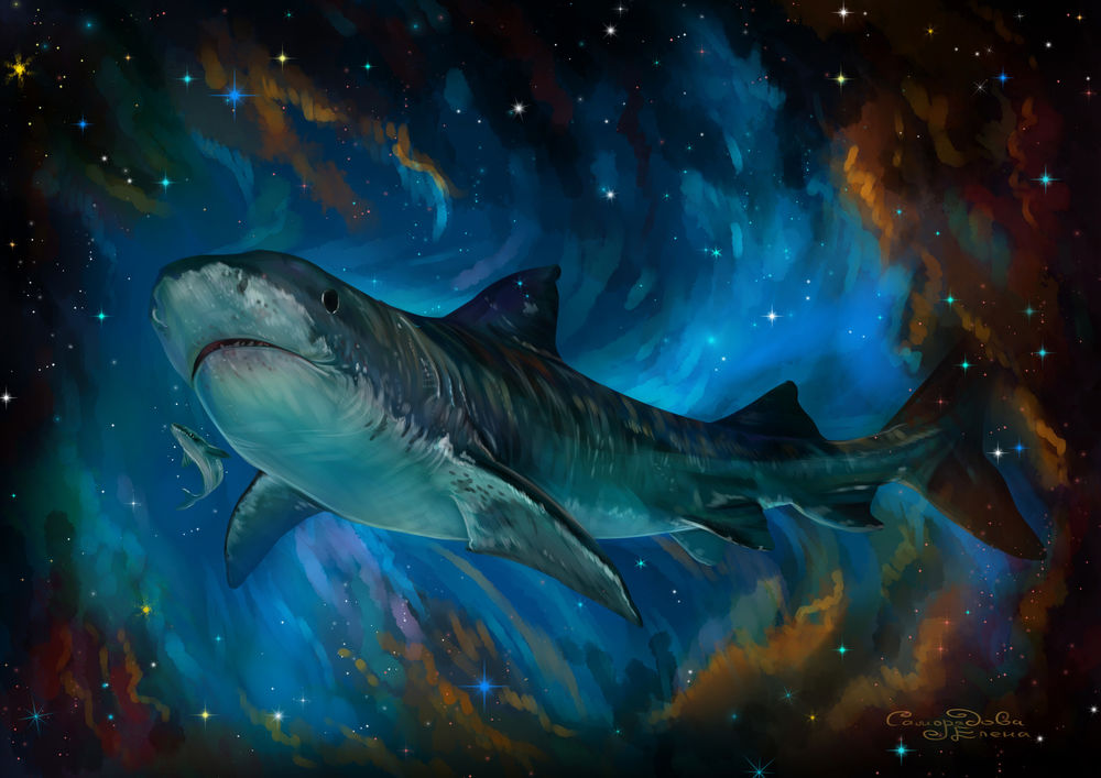 Обои для рабочего стола Starry shark / Звездная акула, by Елена Саморядова