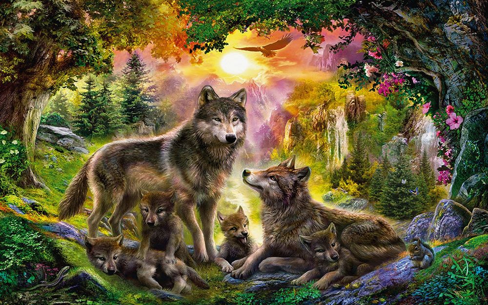 Обои для рабочего стола Волчья семья отдыхает в живописном лесу, на закате дня
