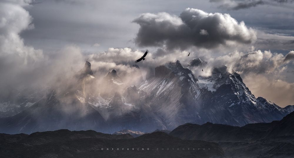 Обои для рабочего стола Птицы в облачной небе над горами, фотограф Timothy Poulton