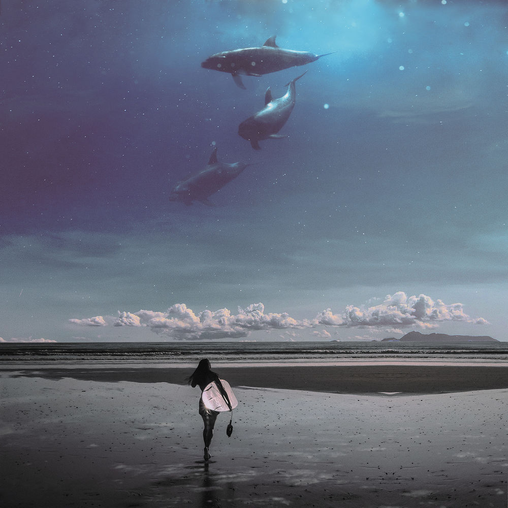 Обои для рабочего стола Девушка с доской для серфинга идет к океану и смотрит на дельфинов в небе, by Hani Jamal