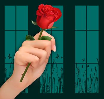Обои на рабочий стол Алая роза зажатая в руке в почти неприличном жесте, на фоне рисованного окна, by Susan Cipriano