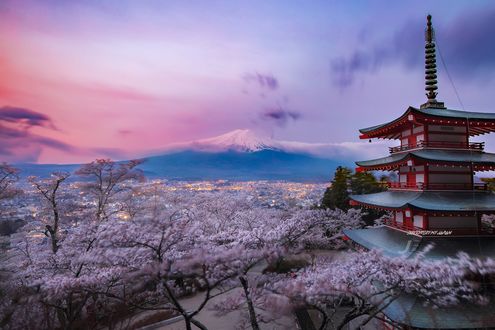 Обои на рабочий стол Chureito Pagoda / Пагода Чурейто среди цветущих деревьев вишни, Japan / Япония