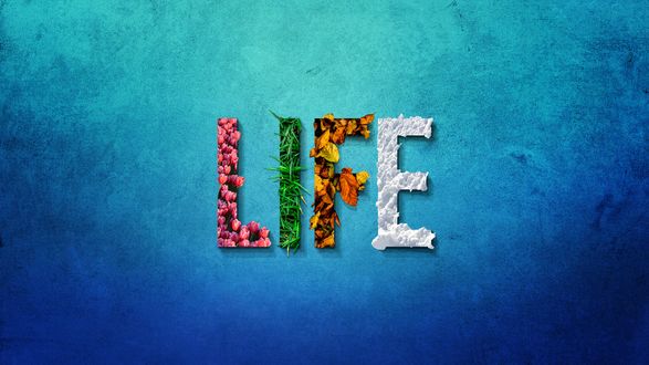Обои на рабочий стол Слово LIFE / ЖИЗНЬ, буквы которого выполнены, как символы четырех пор года: весны, лета, осени и зимы, by Jonny Lindner