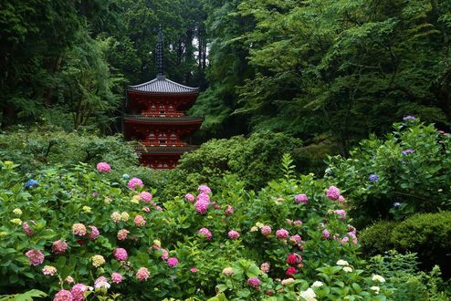 Обои на рабочий стол Традиционная японская пагода в зеленом парке, Киото / Kyoto, Япония / Japan