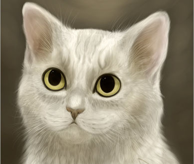 Обои на рабочий стол Белая кошка на сером фоне, by mellinae