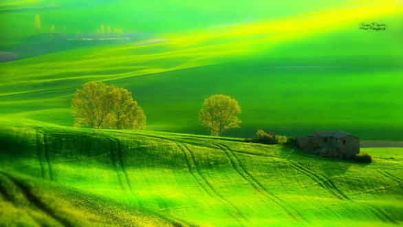 Обои на рабочий стол Поля Toscana, Italy / Тосканы, Италия