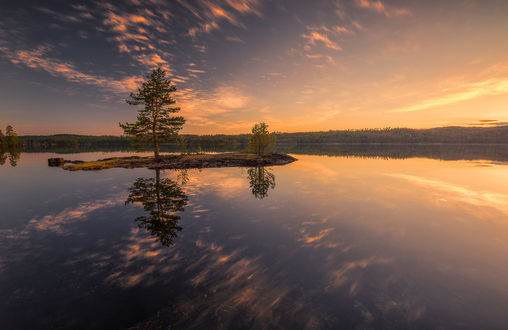 Обои на рабочий стол Небольшой островок с деревцами на озере Ringerike, Norway / Норвегия, фотограф Ole Henrik Skjelstad