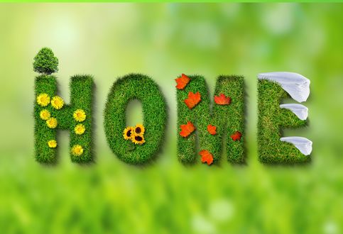 Обои на рабочий стол На зеленом фоне надпись home / дом