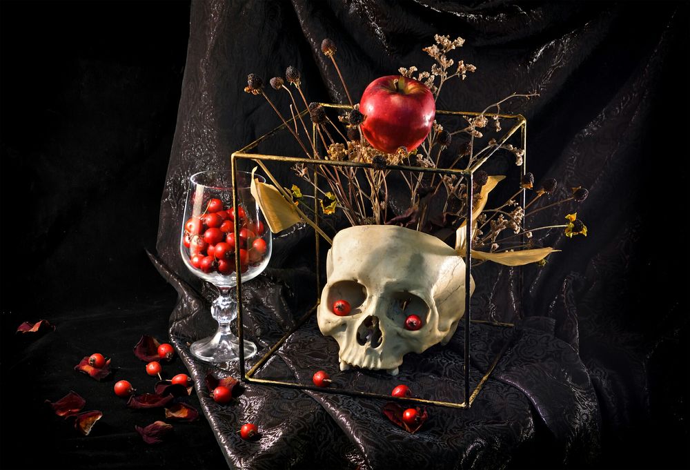 Обои для рабочего стола Готический натюрморт с черепом, сухоцветами, яблоком, рябиной и кубом