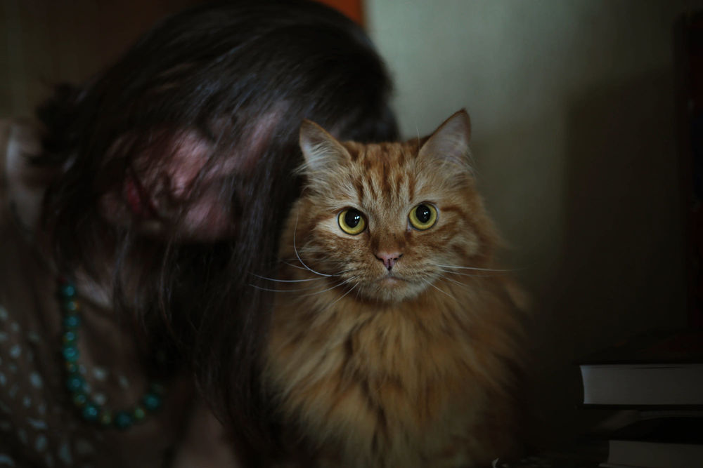 Обои для рабочего стола Девушка со своей рыжей кошкой, by charmed quark