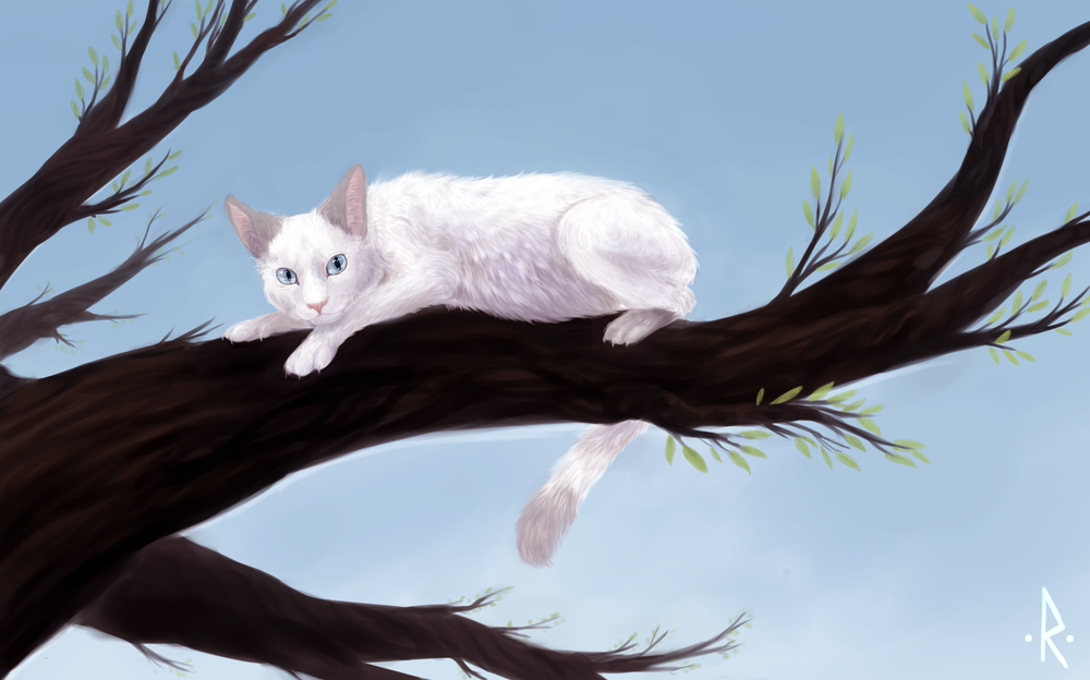Обои для рабочего стола Белая кошка на дереве, by mellinae