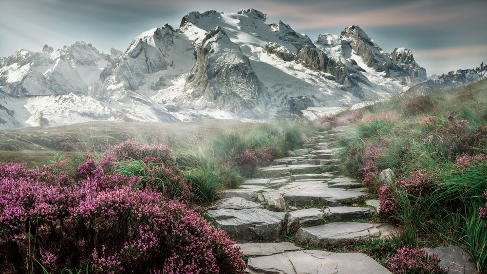 Обои для рабочего стола Дорога из камней на холме, среди цветов, ведущая к заснеженным горам, by composita