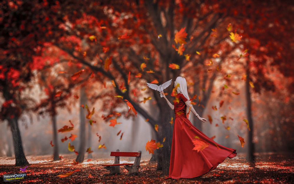 Обои для рабочего стола Девушка в красном платье, с голубем на руке, стоит под осенним деревом, by Yabadene Belkacem
