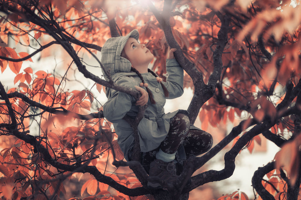 Обои для рабочего стола Девочка сидит на дереве, фотограф John Wilhelm