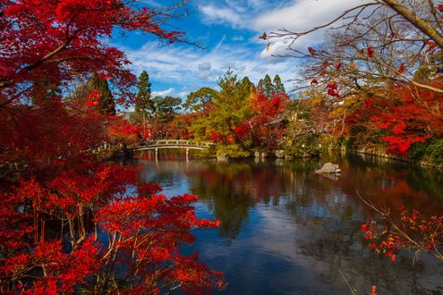 Обои на рабочий стол Старый храм на берегу пруда в осеннем саду, Kyoto, Japan / Киото, Япония, by Adam Derewecki