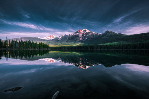 Обои на рабочий стол Утро на озере Патриция в Jasper National Park, Canada / Национальном парке Джаспер в Альберте, Канада, фотограф David Dai
