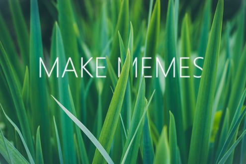 Обои на рабочий стол Надпись Make Memes / Создать мем на фоне травы