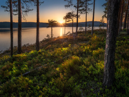 Обои на рабочий стол Вечер на озере Ringerike, Норвегия. Фотограф Ole Henrik Skjelstad
