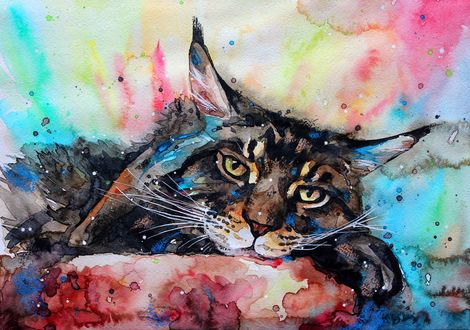 Обои на рабочий стол Рисованный кот на цветном фоне, by ElenaShved
