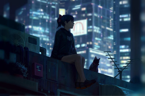 Обои на рабочий стол Девушка с кошкой сидит на крыше дома, by GUWEIZ