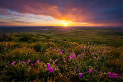 Обои на рабочий стол Вечер в Palouse / Паланге - восточном штате Washington / Вашингтон. Фотограф Doug Shearer
