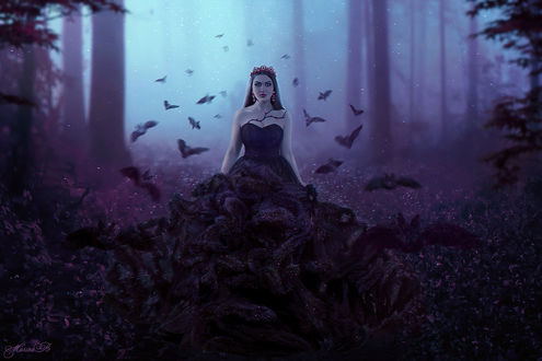 Обои на рабочий стол Dark art / Queen of the darkness / Королева тьмы. Фотограф Marina Baccardi