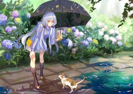 Обои на рабочий стол Vocaloid Xingchen / Вокалоид Ксингчен с зонтом и котенок на дорожке в саду в дождь