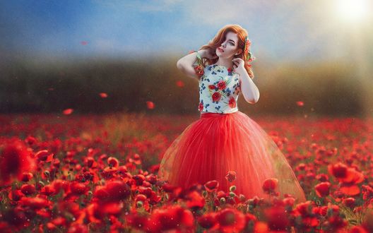 Обои на рабочий стол Девушка стоит в поле с маками. Фотограф Marina Baccardi