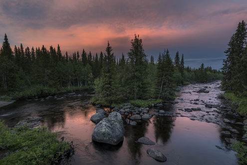 Обои на рабочий стол Весна на реке, фотограф Jоrn Allan Pedersen
