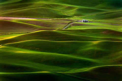 Обои на рабочий стол Холмы в Steptoe Butte / Степто Бьют недалеко от маленького городка Colson / Колсон. Фотограф Edmund Lowe