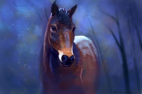 Обои на рабочий стол Лошадь под падающим снегом, by Meorow