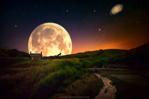 Обои на рабочий стол Лошадь на фоне полной луны, фотограф Stefan Kierek