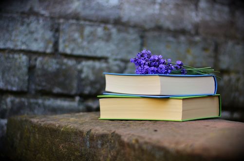 Обои на рабочий стол Цветок лаванды лежит на книгах