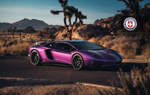 Обои на рабочий стол Фиолетовый Lamborghini Aventador LP 750-4 SV стоит на шоссе в прерии