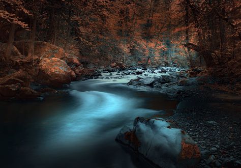 Обои на рабочий стол Река Zlaca, Banovici, Bosnia / Злака, Бановичи, Босния, фотограф Mevludin Sejmenovic